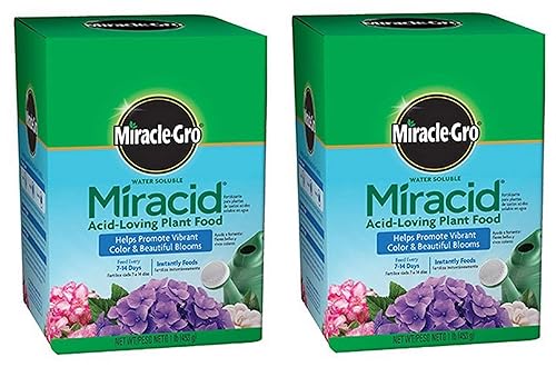 Scotts Company Miracle-GRO 1750011 - Alimento vegetal soluble en agua con ácido mirácido, 1 libra (2 paquetes)