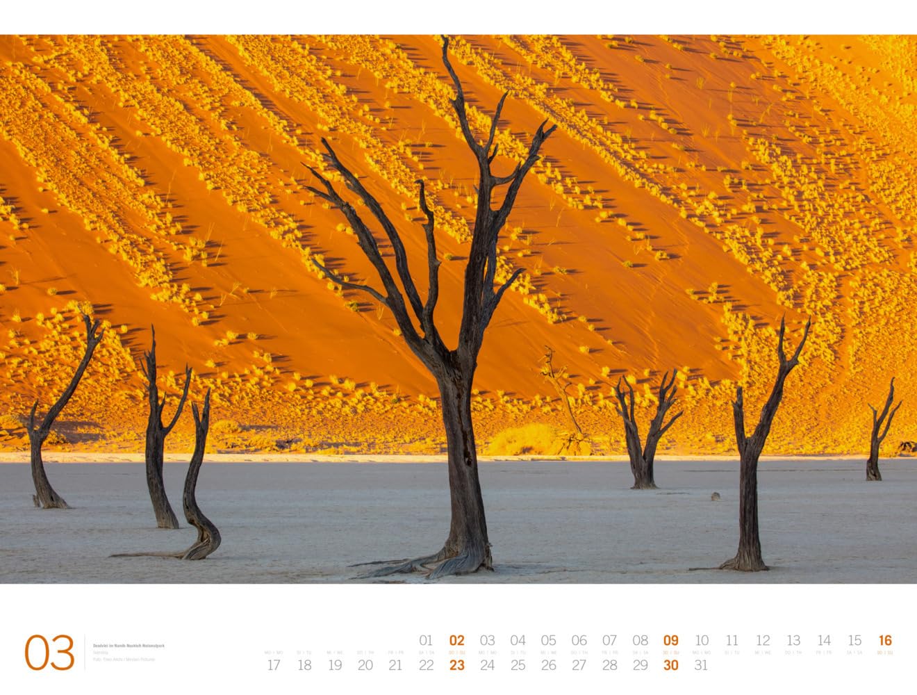 Afrika - Ackermann Gallery Kalender 2025, Wandkalender im Querformat (66x50 cm) - Großformat-Kalender / Hochwertiger Panorama-Kalender Tiere und Natur