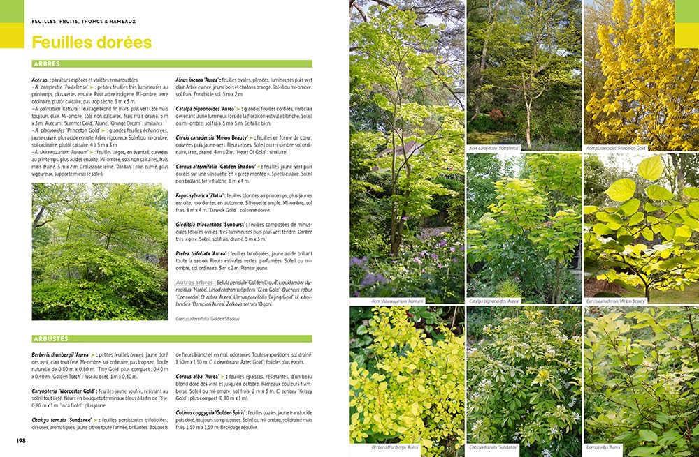 Toutes les plantes - Pour toutes les envies et toutes les situations