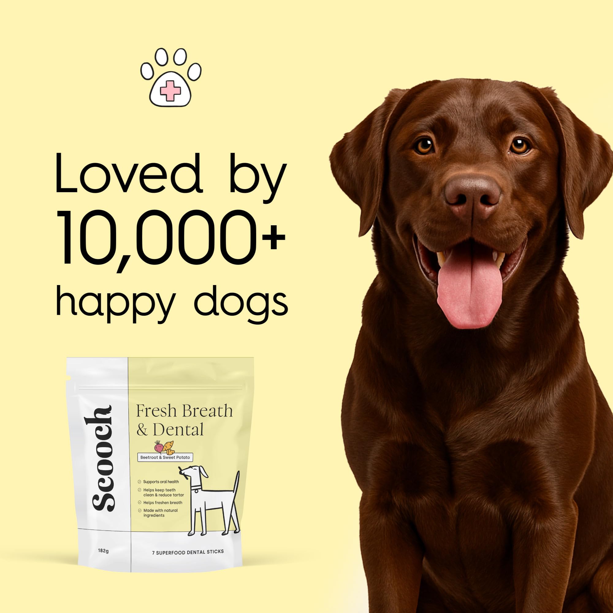 Scooch Dental Stick Chews for Dogs - Image 3