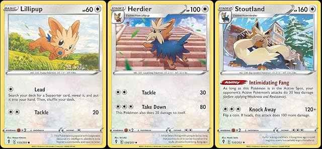 Stoutland 135 203 - Evolving Skies - Rare - Evolution Pokemon Card lot - Herdier Lillipup