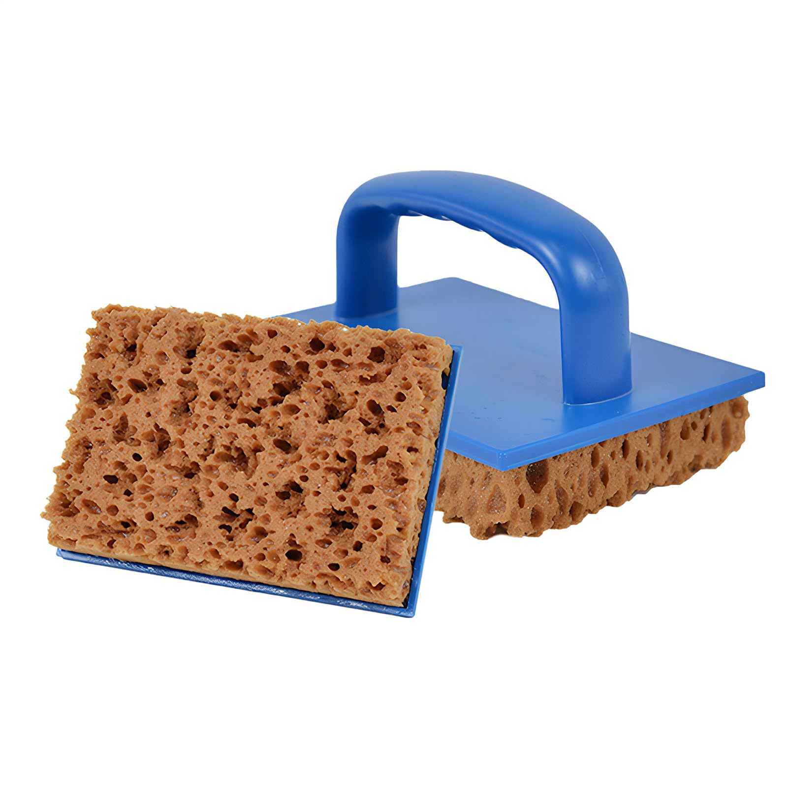 Texture d'algues avec cette éponge à peindre lavable pour pièces humides