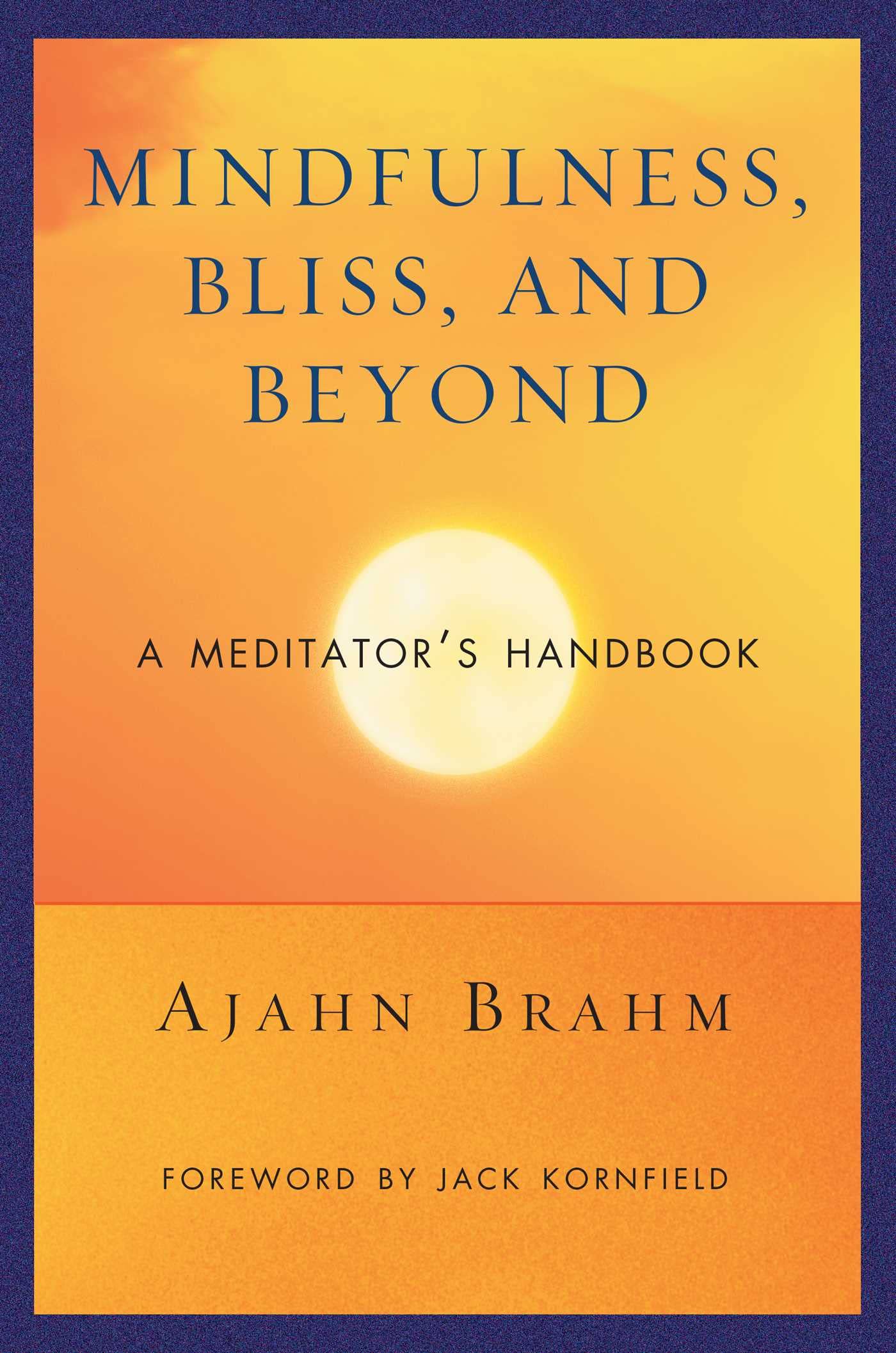 Mindfulness, Bliss, and Beyond: A Meditator's Handbook cover