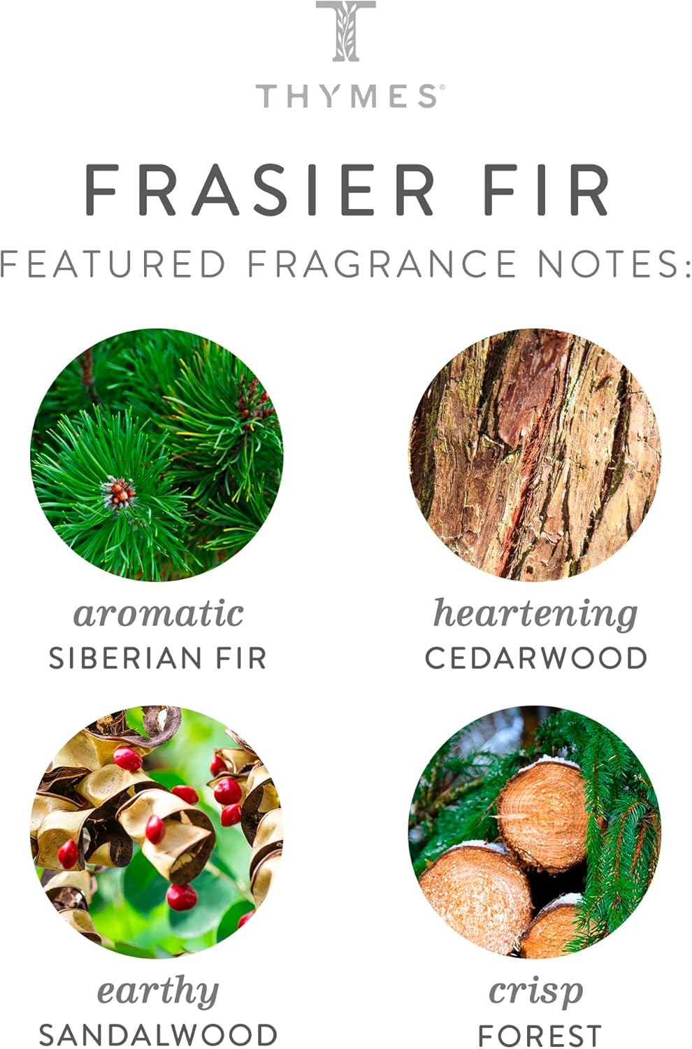 Thymes Frasier Fir Candles - Statement Collection - Silver with Pine Needle Design - Scented Candles for Home Decor - Notes of Siberian Fir Needles, Cedarwood & Sandalwood - Petite (5 oz) - Image 3