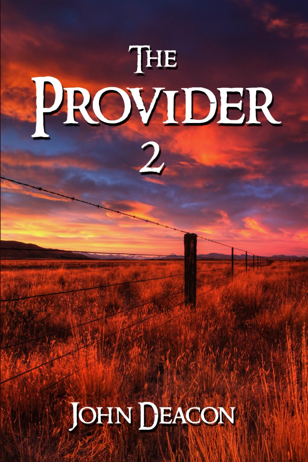 The Provider 2 (The Provider Saga)
