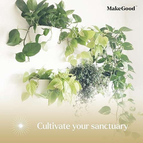 Miniatura 6 de Make Good Virgo - Macetas de pared (anchas, juego de 6), fáciles de regar e instalar, ligeras, diseña tu propio jardín vertical, plástico de melamina