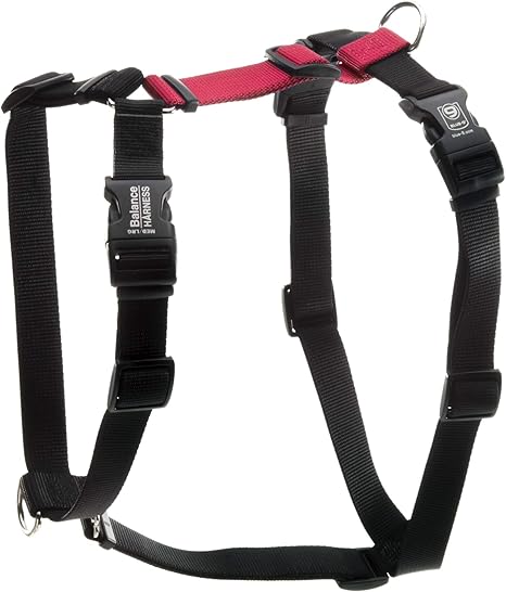 perfect fit harness amazon