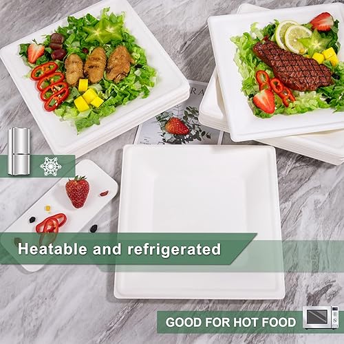 Miniatura 3 de SUT Platos de papel compostables de 10 pulgadas, 100 platos cuadrados biodegradables de bagazo, platos resistentes para microondas, platos