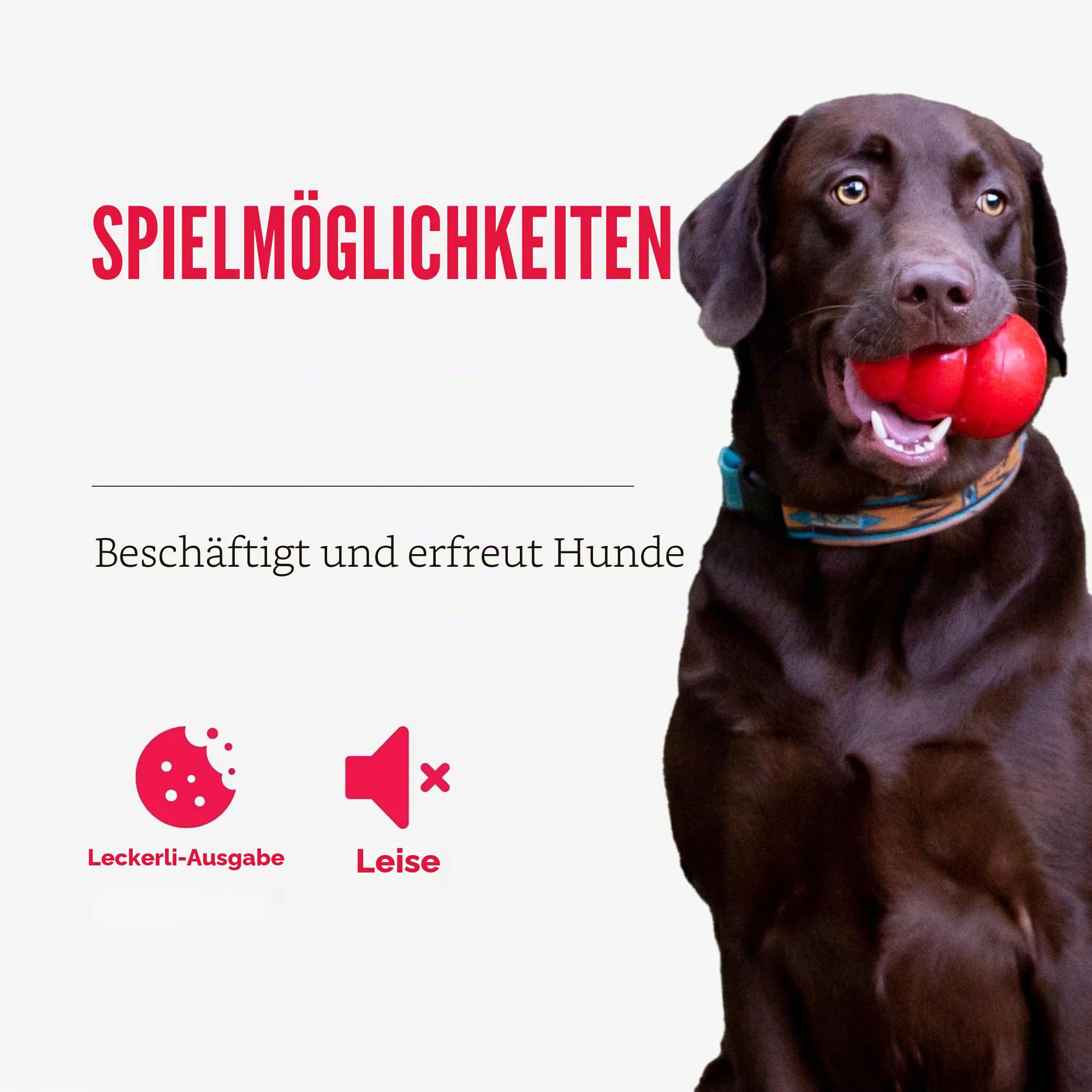 KONG – Rewards Ball – Besonders Robuster Interaktiver Leckerlispender – Für Große Hunde