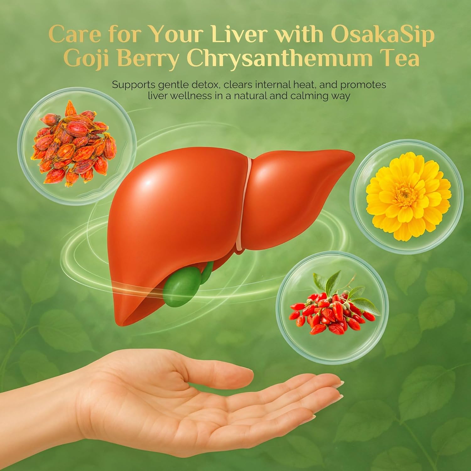 OsakaSip Goji Berry Chrysanthemum Tea Bags - Natural Liver Detox Cleanse Kidney Health - Excellent Chinese Herbal Raw Formula Cassia Seed Dandelion Leaf Gardenia Licorice Orange Peel (150g 15 Bags) - Image 5