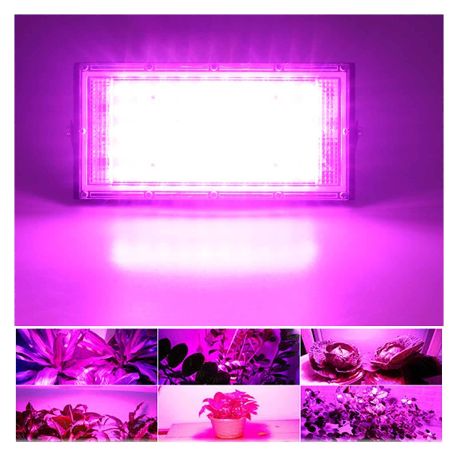 Lámpara LED De Cultivo Phyto AC 50W, Reflector LED De Espectro Completo, Foco For Plantas Hidropónicas De Plantas De Invernadero For Interiores Y Exteriores (Size : Cold White)