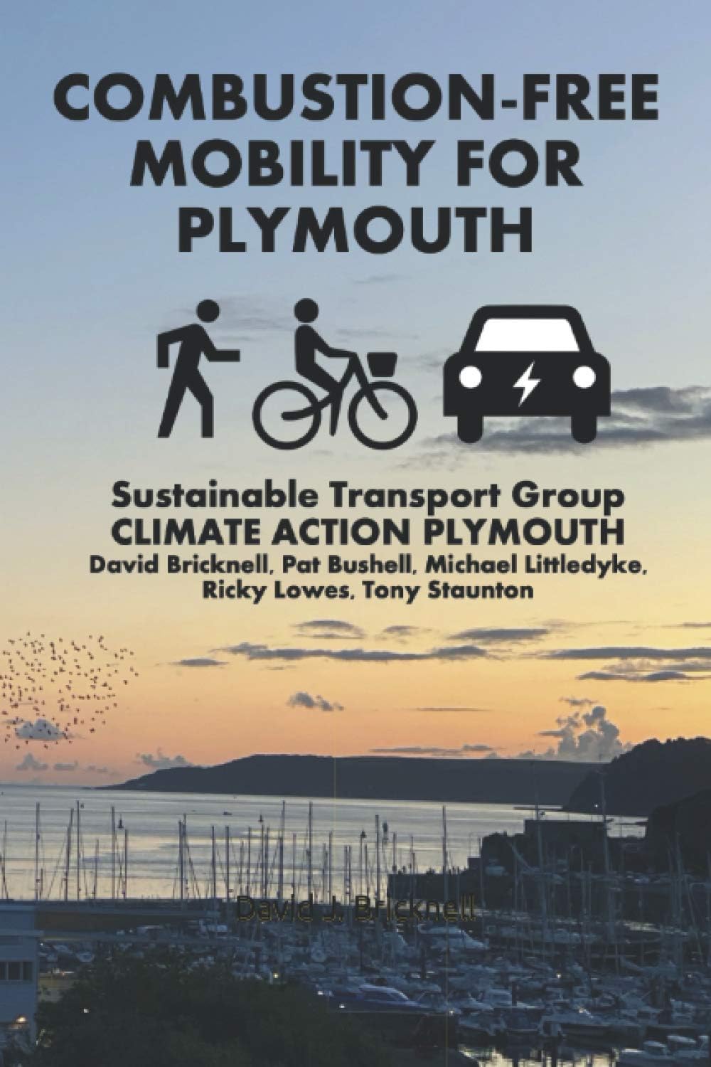 Combustion-Free Mobility for Plymouth: Sustainable Transport Group - Climate Action Plymouth