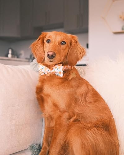Miniatura 4 de Elegant little tail Collar para perro, collar de perro con corbatín, lindo collar rosa melocotón para mascotas, collar de perro ajustable para