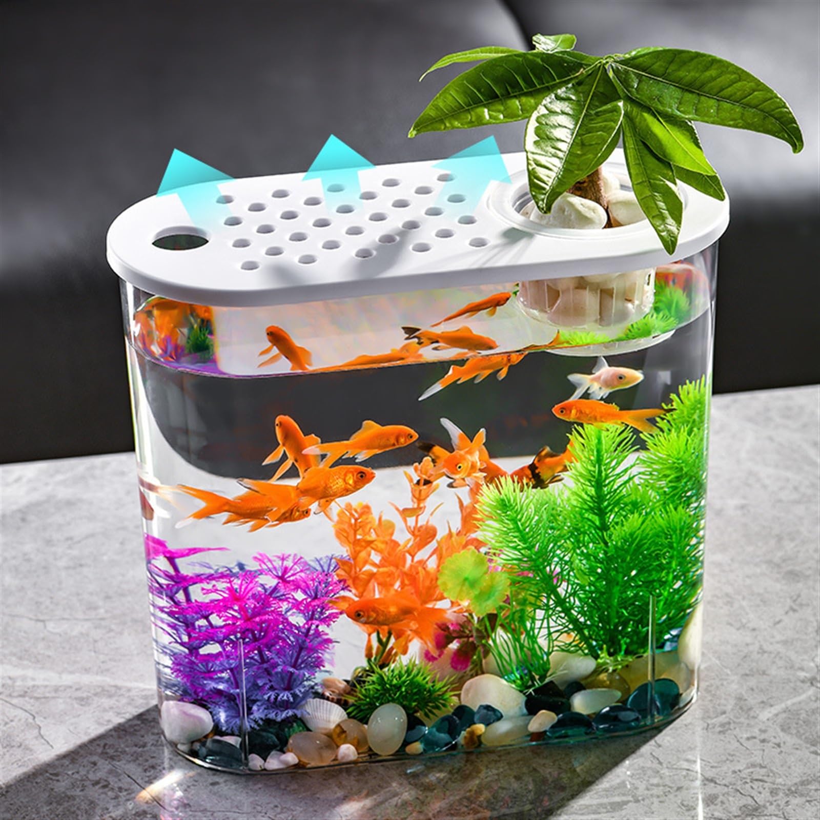 Aquarium Transparentes Aquarium aus Acryl mit atmungsaktivem Deckel und leicht zu bewegendem Tragegriff, dekoratives Aquarium-Pflanzgefäß for den Schreibtisch im Wohnzimmer, Büro Fischtank(Schwarz)
