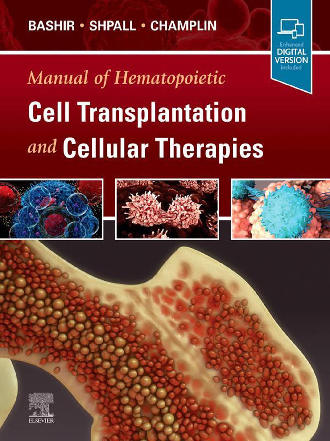 Manual of Hematopoietic Cell Transplantation and Cellular Therapies - E-Book (English Edition)