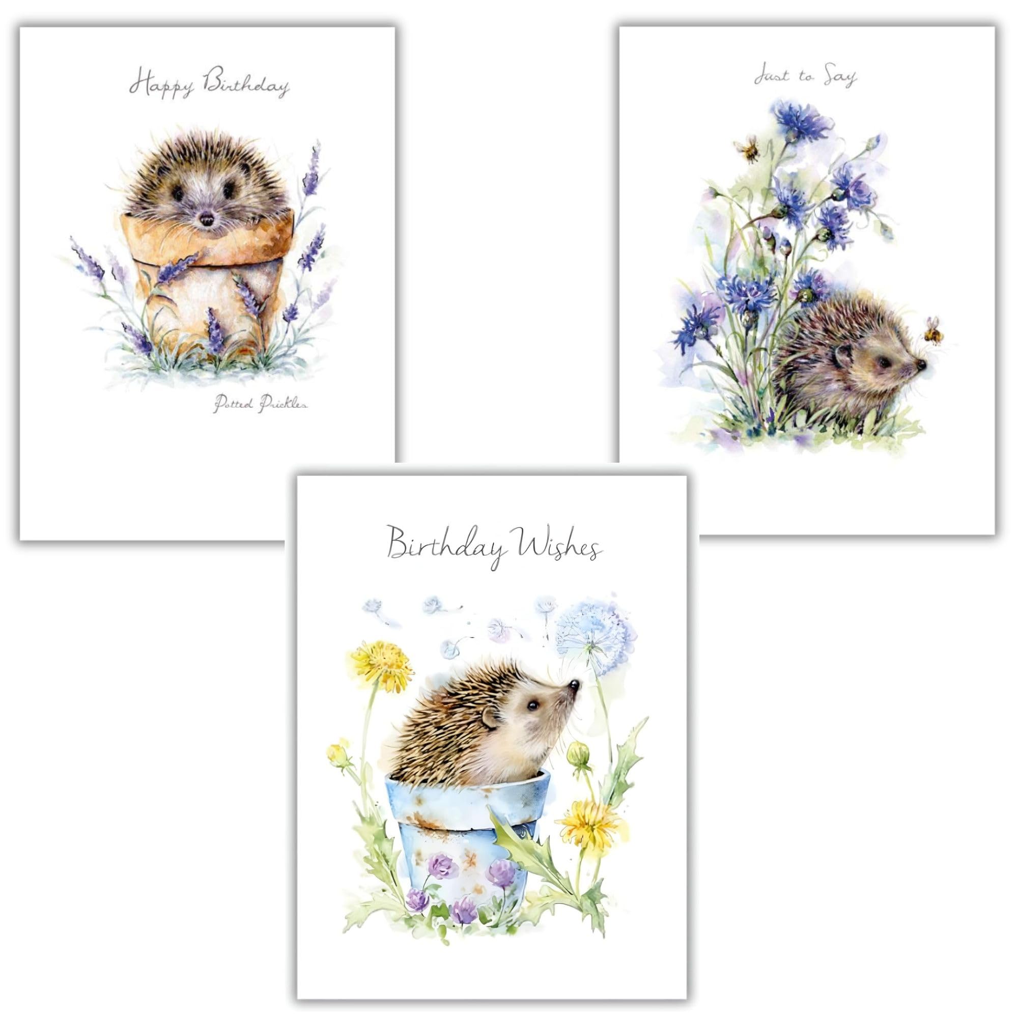Noel Tatt Female Birthday Cards - Multipack of 3 - Assorted Cute Hedgehog Designs - Lovely Illustrated Greeting Cards with Envelopes - for Women, Girls, Kids & Adults