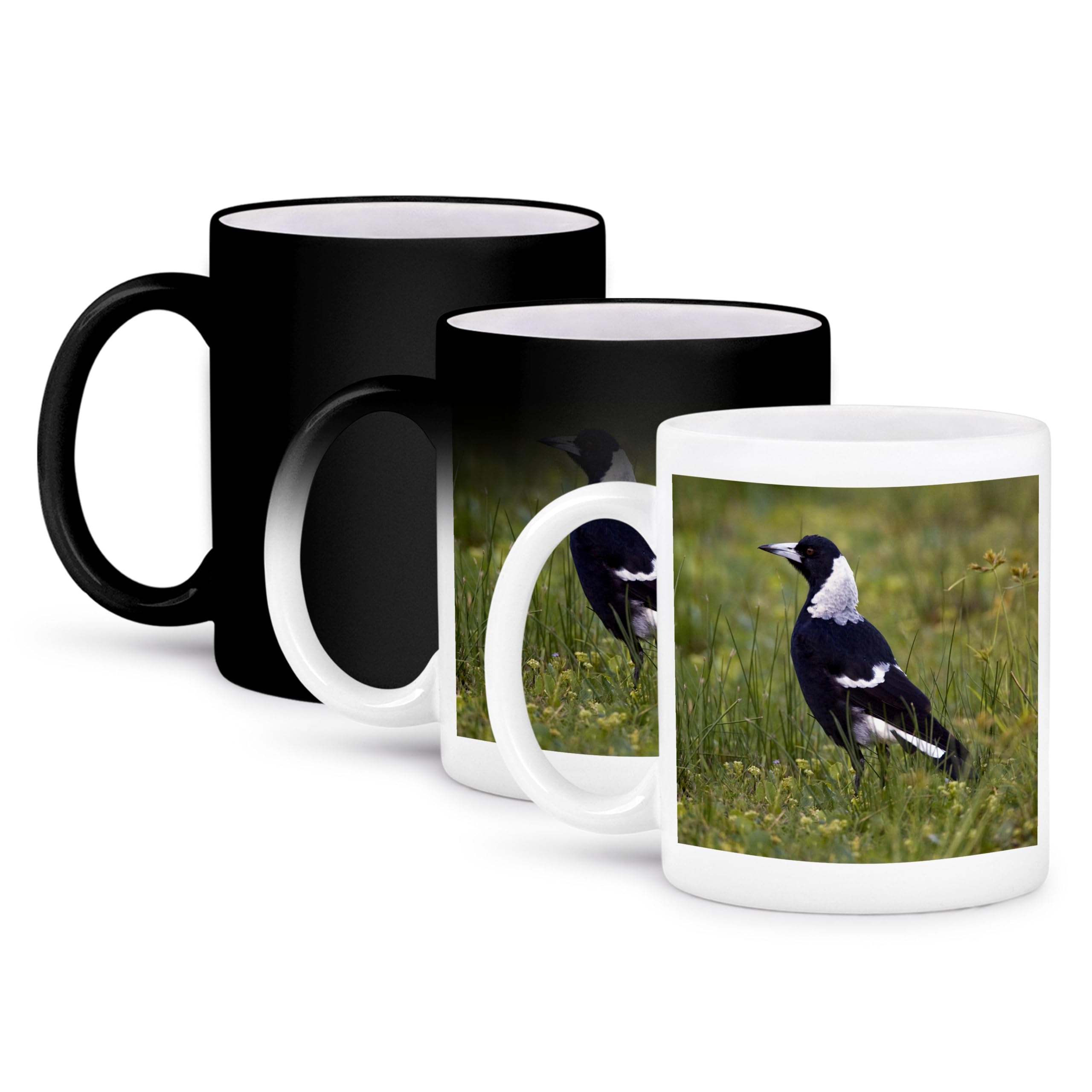 赤い鳥のデザインカップ Amazon.co.jp: 3drose Danita Delimont – 鳥 – カササギフエ