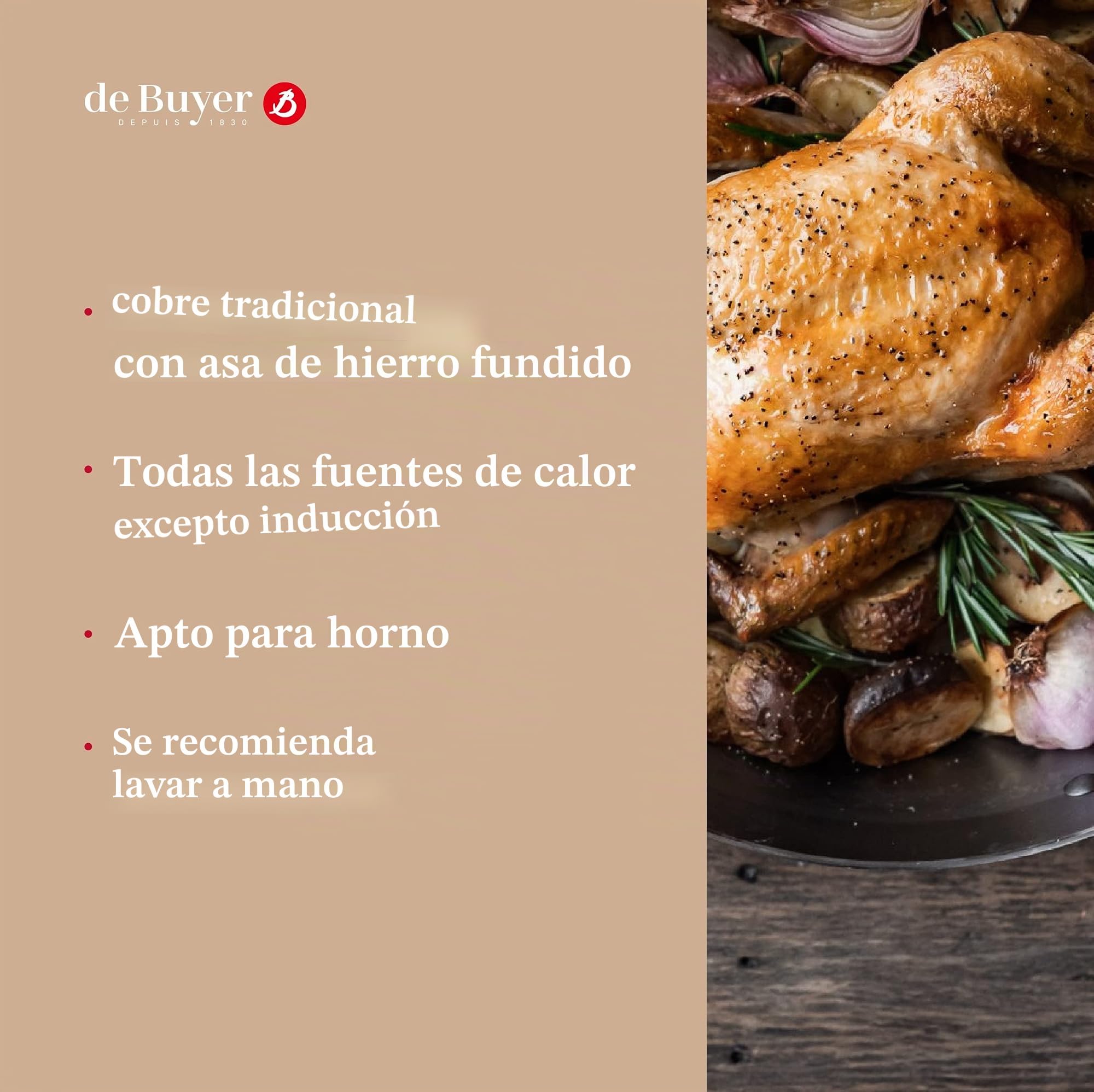 De Buyer, CAZO CON MANGO FUNDICION, INOCUIVRE , Ø 12 CM,-6460.12