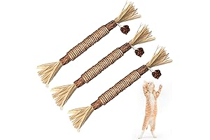 BAWAN Catnip Toys – Silvervine for Cats: Interactive Teething Chew Toys for Kittens