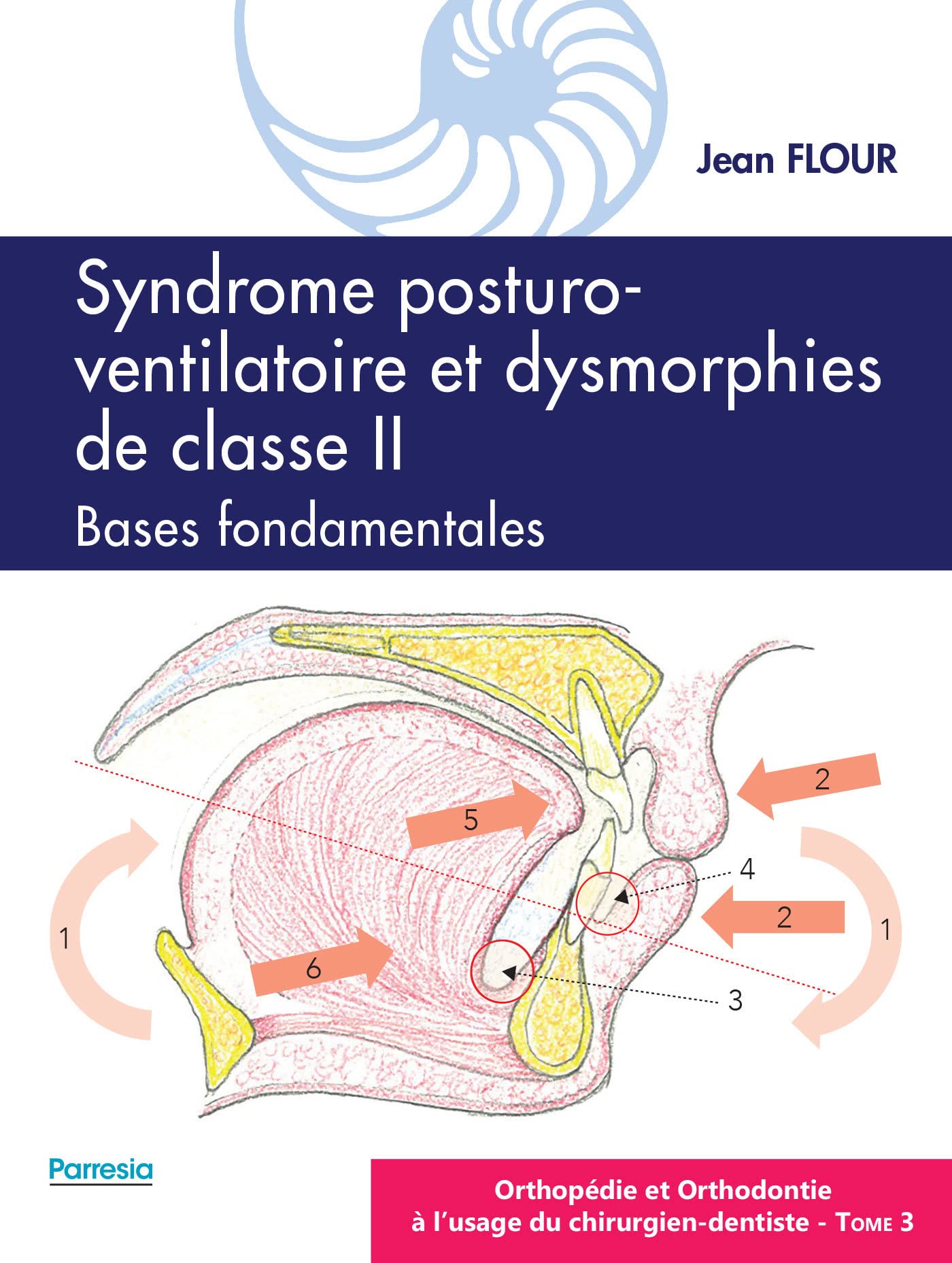 Syndrome posturo-ventilatoire et dysmorphies de classe II, Bases fondamentales: ORTHOPÉDIE ET ORTHODONTIE À L'USAGE DU CHIRURGIEN-DENTISTE - Tome 3