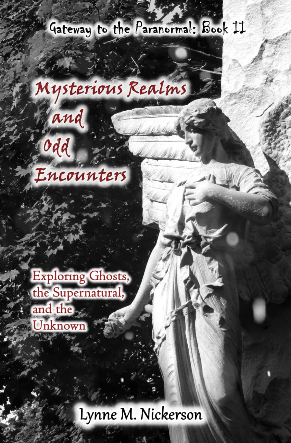 Mysterious Realms and Odd Encounters: Exploring Ghosts, the Supernatural, and the Unknown