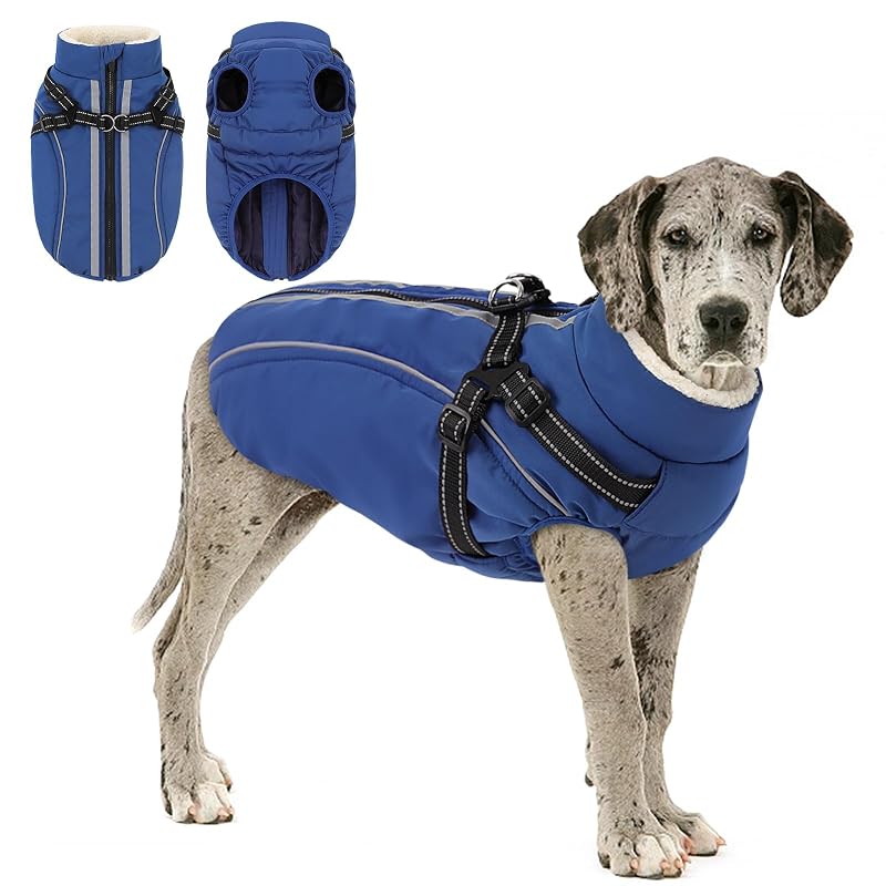Casaco de Inverno para Cachorro com Peitoral Integrado KAMA BRIDAL Azul XXX-Large