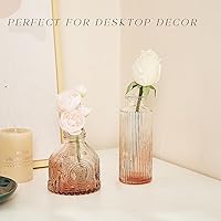 Vista 7 de Juego de jarrones de vidrio para brotes de 30 piezas, pequeños jarrones de flores, jarrones de vidrio para centros de mesa, jarrones de brotes