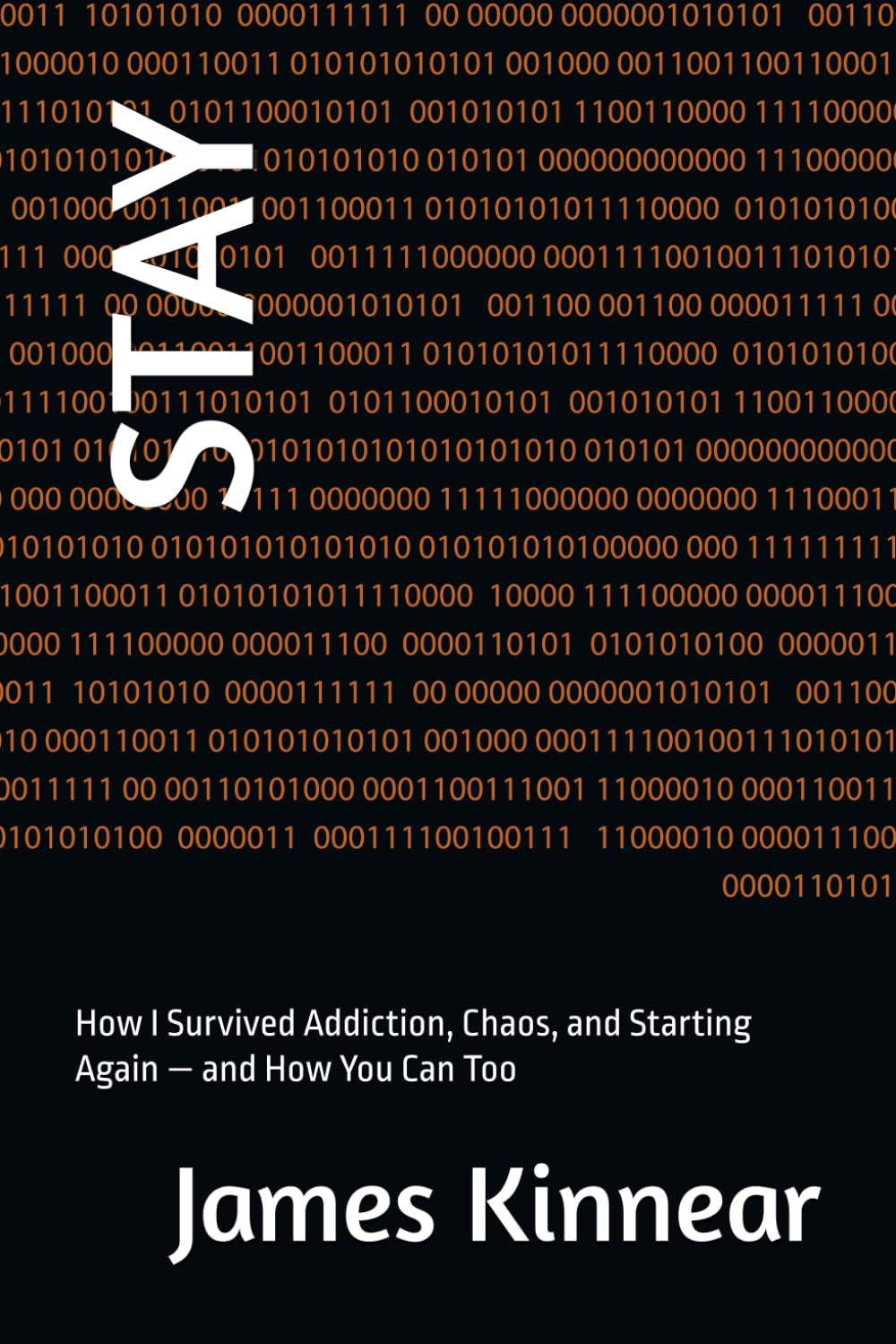 STAY: How I Survived Addiction, Chaos, and Starting Again — and How You Can Too