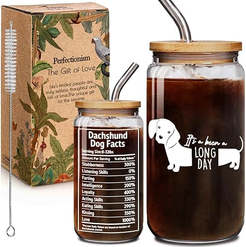 Dachshund 16oz Glass Cups with Lids and Straws Gifts for Women Men - It's Been A Long Day Dachshund, Weiner Dogs Decor, Funny Iced Coffee Cup Gifts for Dog Lover, Mother Birthday Gift for Dog Mom