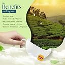Winty Detox Kahwa Green Tea – Pack of 2 (30 Bags Each) | Soothing & Refreshing Herbal Infusion | Aromatic Blend | Premium Ayurvedic Ingredients | Herbal Tea Bags gallery image