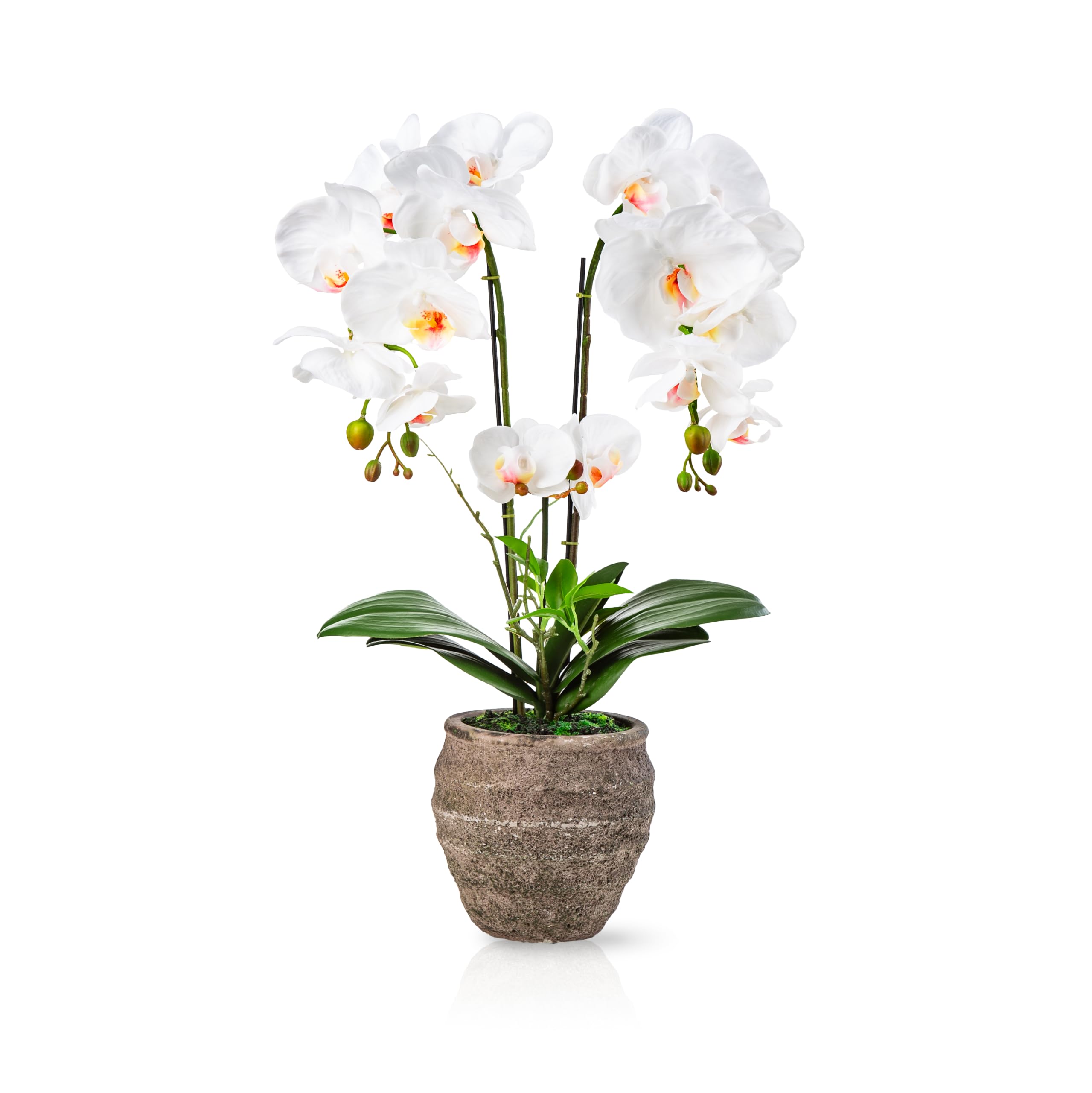 PASCH® Orchidées artificielles (60 cm) dans un pot cube en pierre fait à la main - Fleurs artificielles comme de vraies orchidées artificielles en pot - Fleurs artificielles en pot - Orchidée