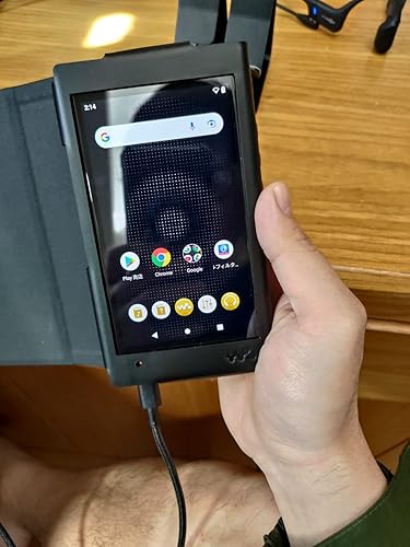 ソニー ウォークマン純正レザーケース NW-WM1ZM2/NW-WM1AM2専用