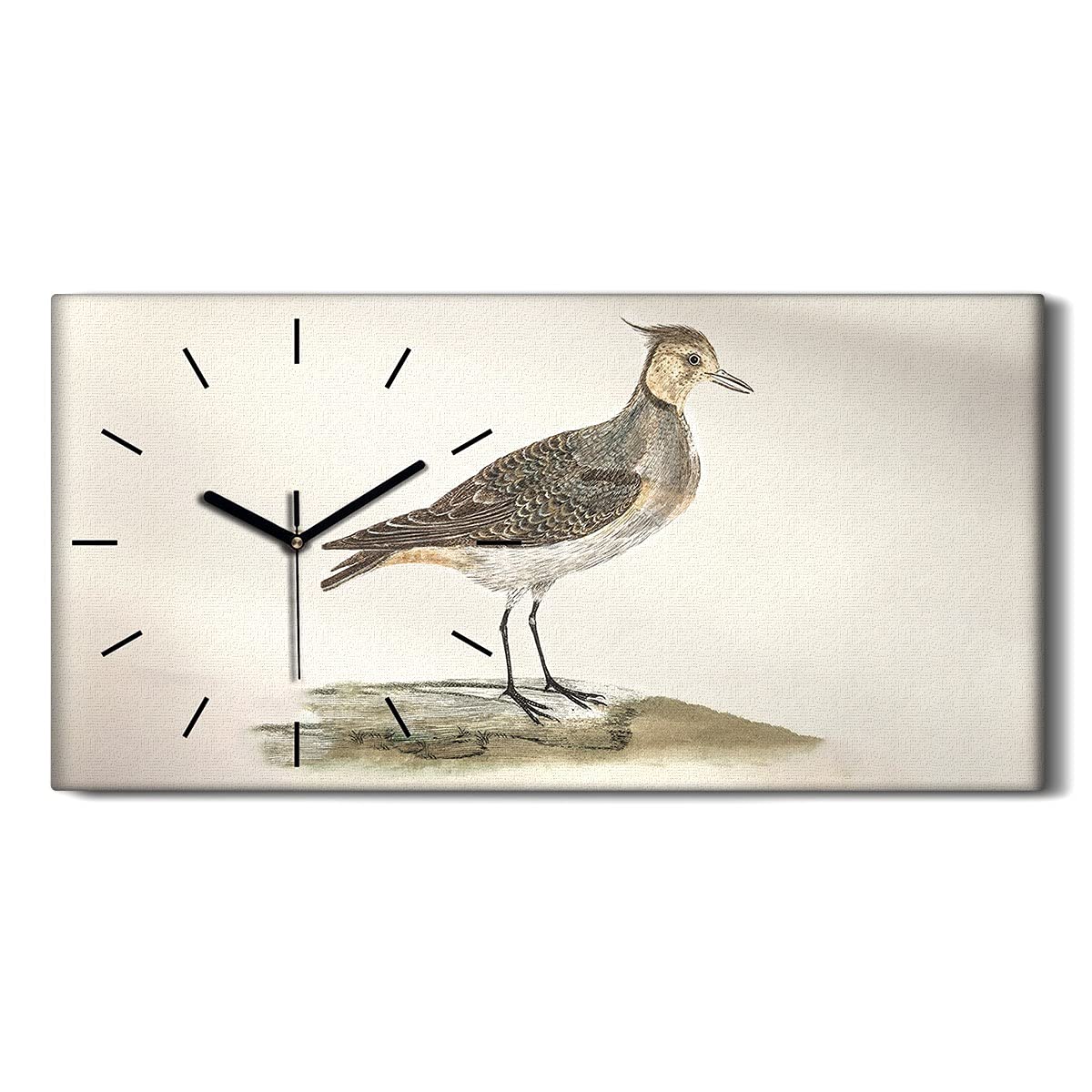 Horloge sur toile Coloray 60x30cm ne pas tic tac image art mural animaux salon