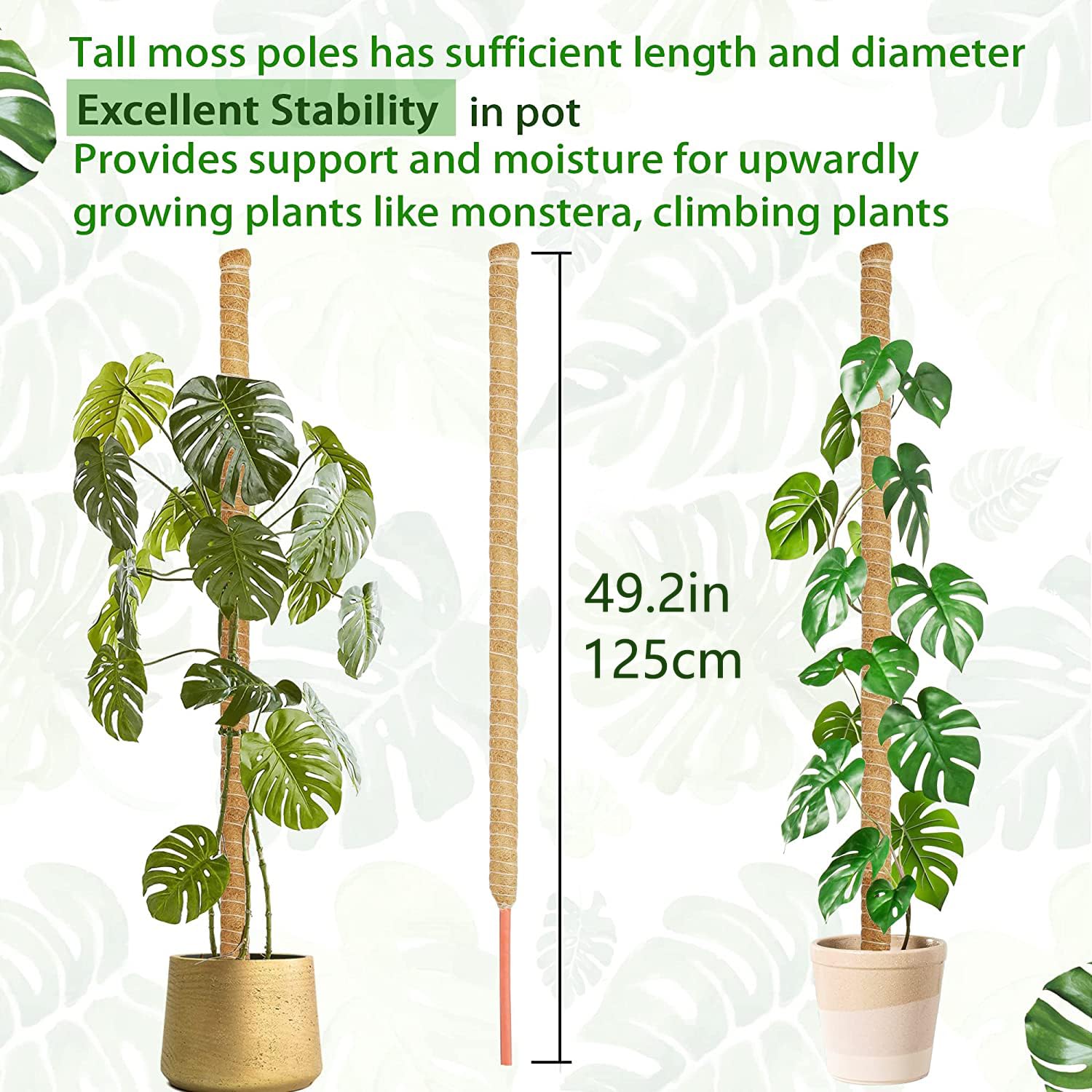 moss stick　sw58 HuiPoLii 1 x 125 cm Coir Monstera Trellis, Bendable Monstera