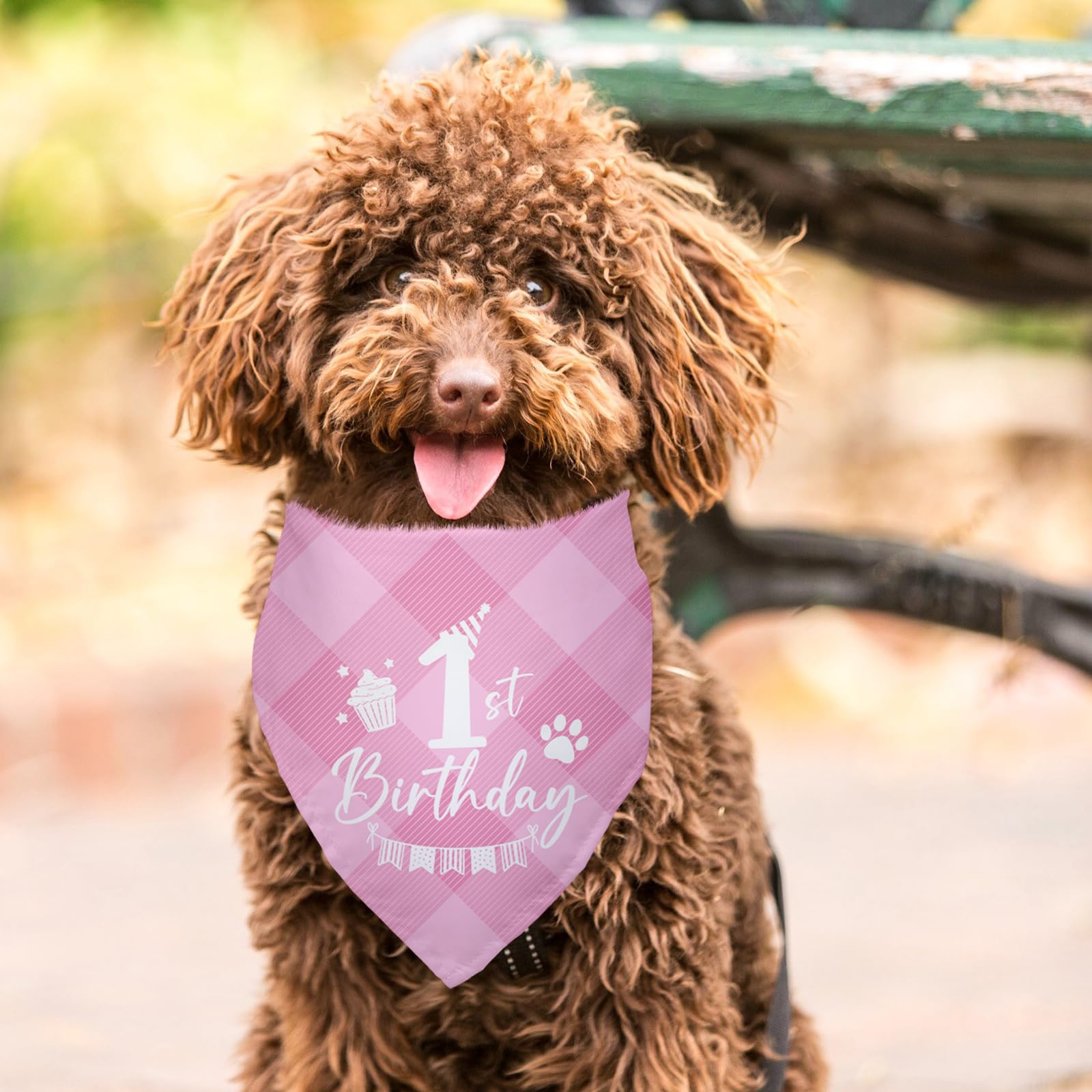 Hunde-Geburtstags-Bandana – Kariertes Halstuch Für Den 1. Geburtstag, Rosa, 66x31 Cm, Waschbar