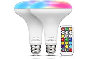 Led Color Changing Flood Light