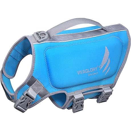 VIVAGLORY Bulldog Life Jacket