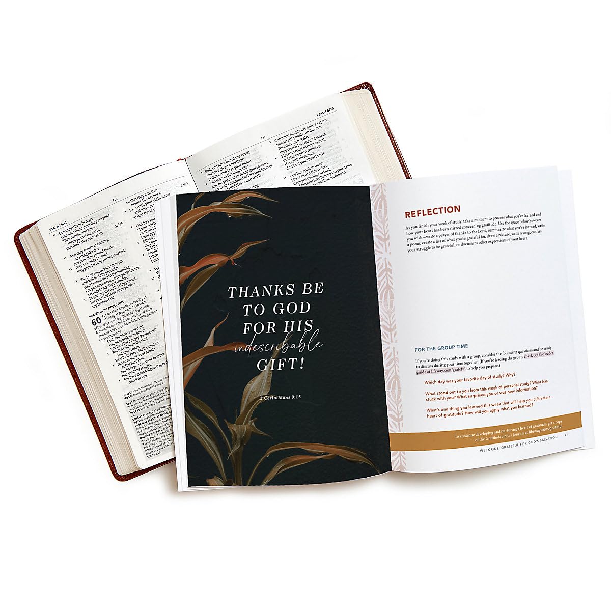 Grateful - Bible Study Book: Giving Thanks to God in All Things - Image 6