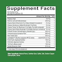 Vista 6 de Live Conscious Beyond Greens Concentrated Superfood Powder - Matcha Flavor w/Chlorella, Echinacea, Probiotics for Immune Support & Energy - 30