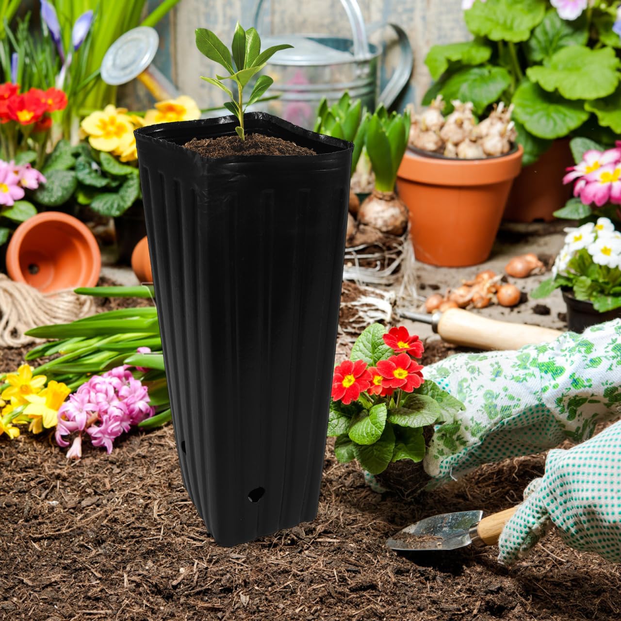BESPORTBLE 30 bolsas para plántulas, tubos de árboles para plántulas, macetas de cultivo, paquete de variedades, macetas de iniciación, macetas de inicio, bolsas de jardín de infantes, maceteros para