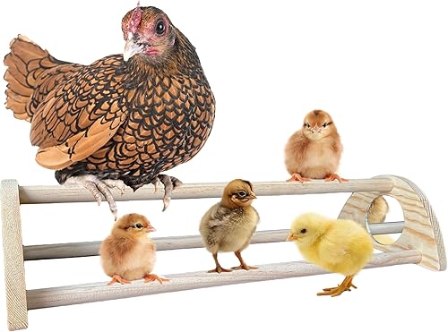 Perca de pollo con espejo, barra de gallo fuerte de pino para gallinero y criador, perca de entrenamiento divertidos juguetes para pollitos,