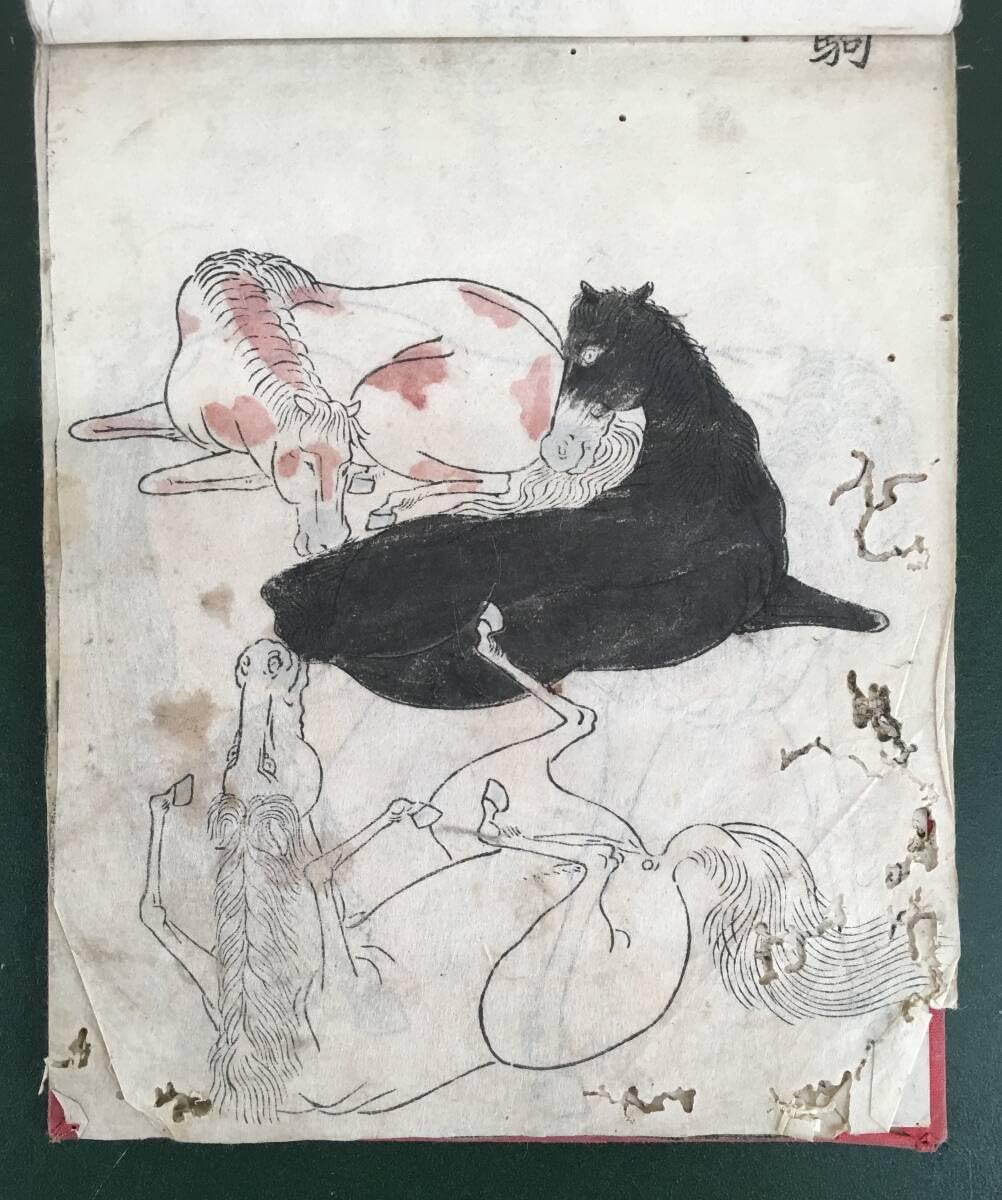 Amazon.co.jp: 馬種？／[木版画馬図11紙]／徒切／愚表切／朝鮮