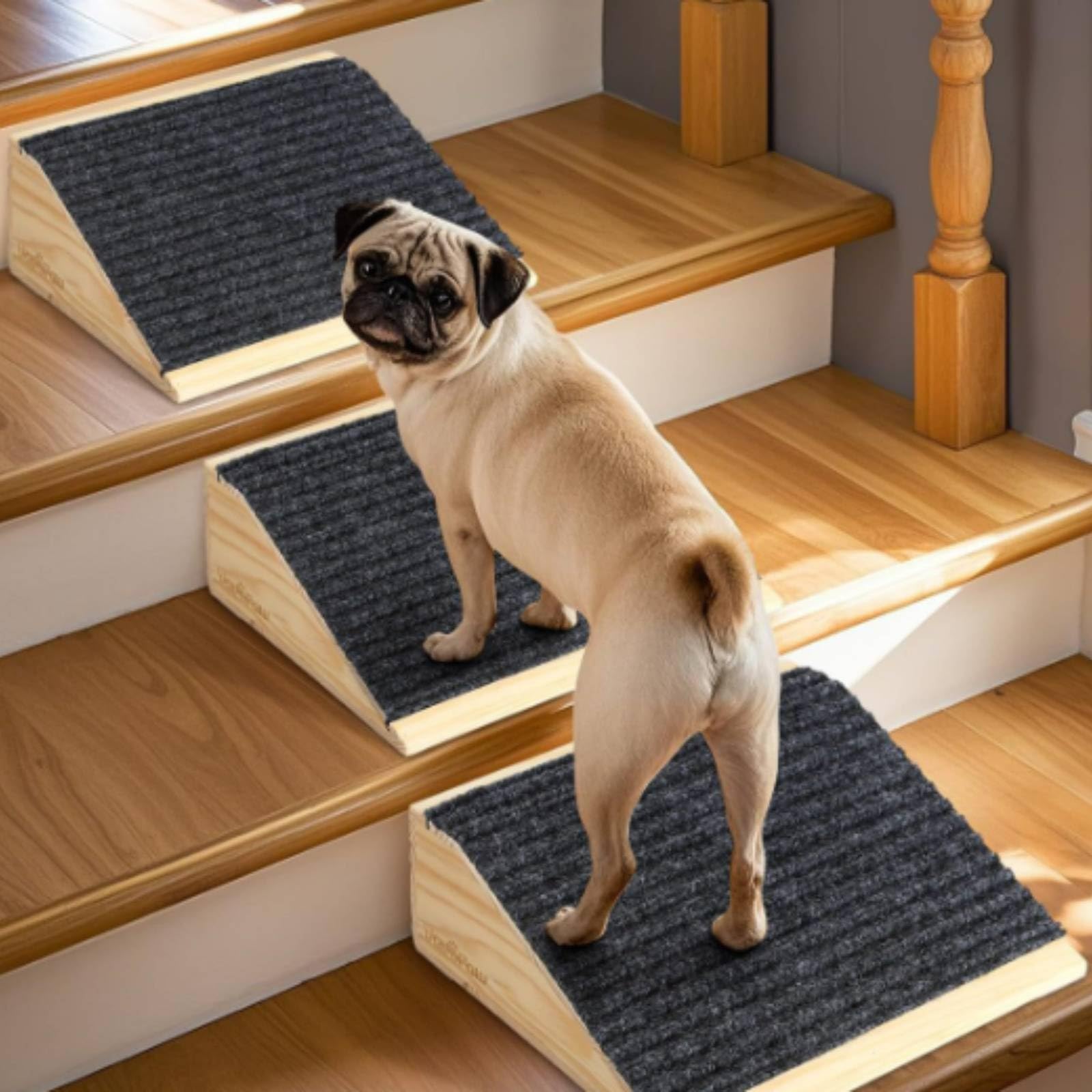 rockible Con Tappeto Antiscivolo Robusta Rampa Compatto Scivolo per Cani Anziani, 30 26 15cm