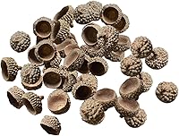 Vista 3 de SM SunniMix 100 tapas de bellotas naturales auténticas rústicas de bellotas decorativas para el hogar, bricolaje, Acción de Gracias, Navidad