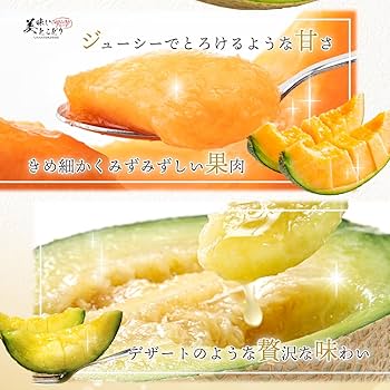 メロンページです。 メロン 飯岡 貴味メロン 約3kg 4Lサイズ以上 2玉 千葉県産<br