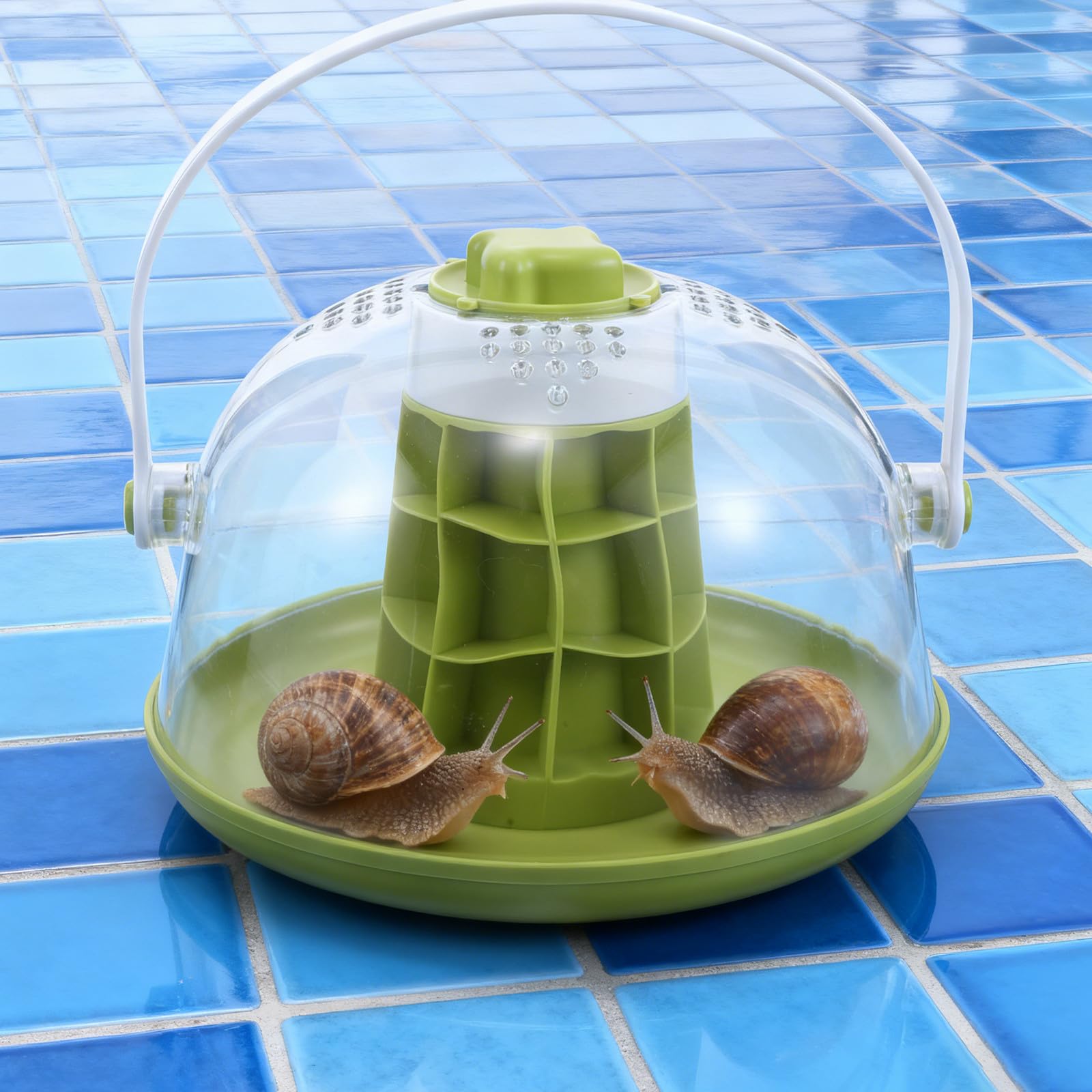 Ciieeo Terrario Osservazione Lumache Trasparente ABS Rettangolare 20 Cm | Base Removibile, Aperture Accessibili e Fondo Solido, Fori di Ventilazione per Uso Scolastico e Gite in Famiglia