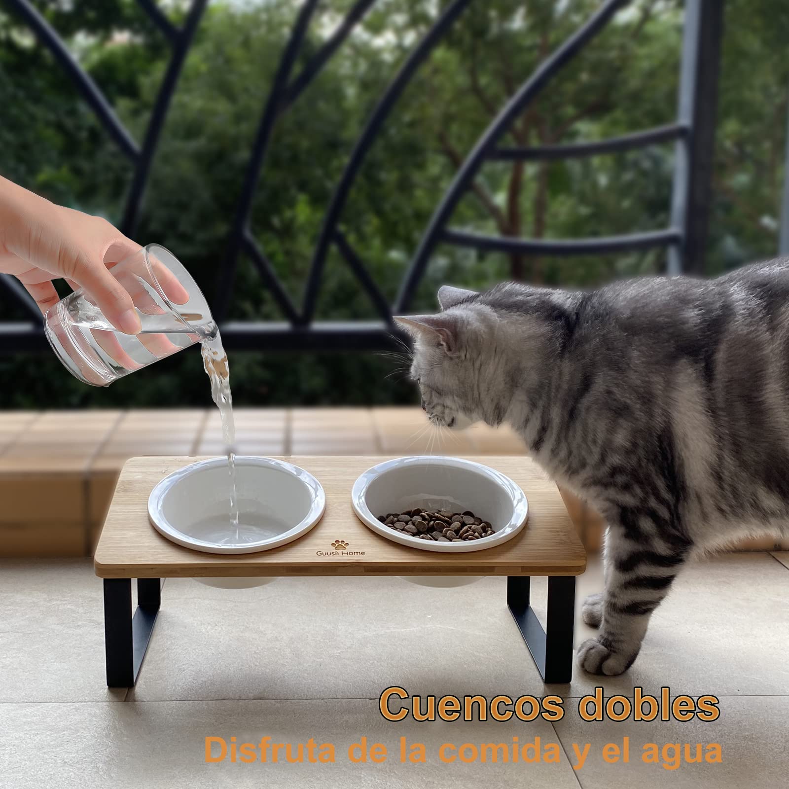 GUUSII HOME Comedero Gato Elevado, Comedero Gatos, Comederos para Gatos Inclinado 15° Ceramica, Cuenco Gato Antivómitos, con Soporte de Bambú Natural para Evitar la Fatiga de los Bigotes, Color Madera