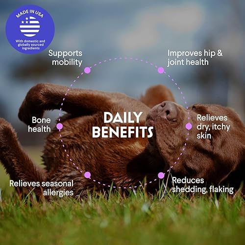 Miniatura 3 de Aceite de salmón prémium para perros, aceite de salmón noruego puro alto en Omega 3, EPA y DHA, potente aceite de pescado para la piel y el pelaje,