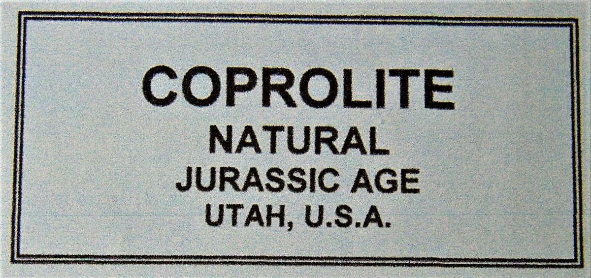 コプロライト　糞化石　恐竜　化石　生痕化石　アンモナイト　三葉虫　牙　爪　卵 コプロライト 糞化石 恐竜 化石 生痕化石 アンモナイト 三葉虫 牙 爪 卵