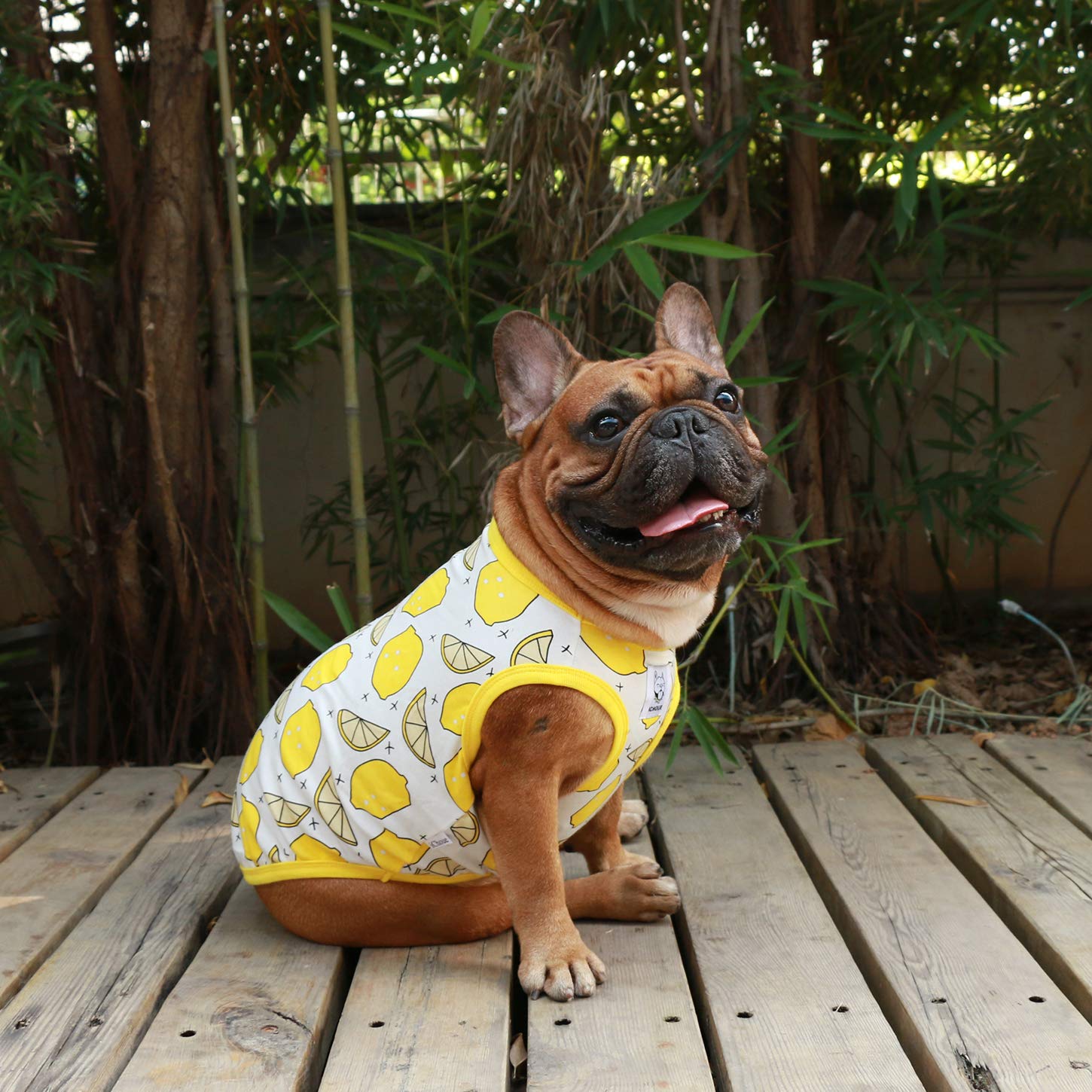 iChoue English Bulldog Cartoon T Shirts Cute Clothes for Medium Dogs Vest Tank Tops Large French Frenchie Pug Boston Terrier Pitbull Lemon - Image 4